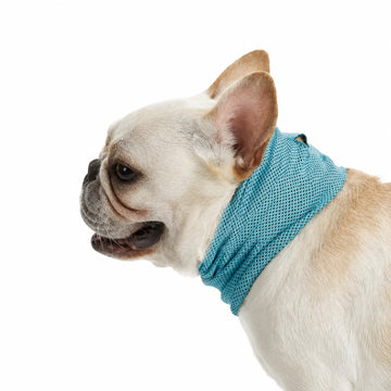 Cooling Bandana